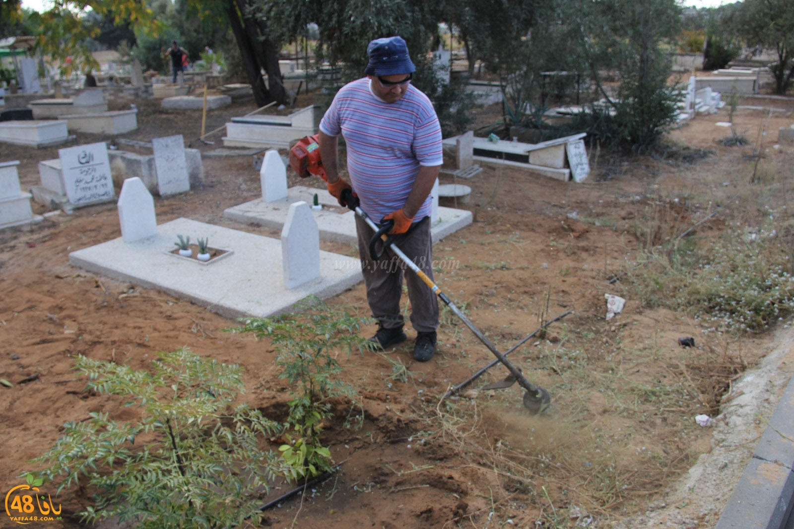 tasoo tandefet (4).jpg